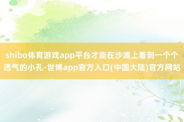 shibo体育游戏app平台才能在沙滩上看到一个个透气的小孔-世博app官方入口(中国大陆)官方网站