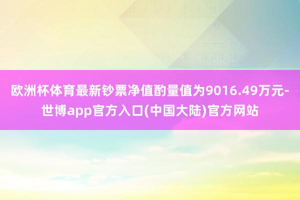 欧洲杯体育最新钞票净值酌量值为9016.49万元-世博app官方入口(中国大陆)官方网站